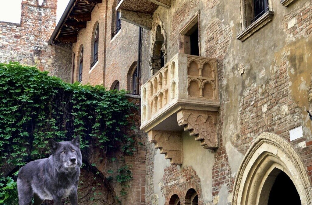 Where Art Thou, Romeo?